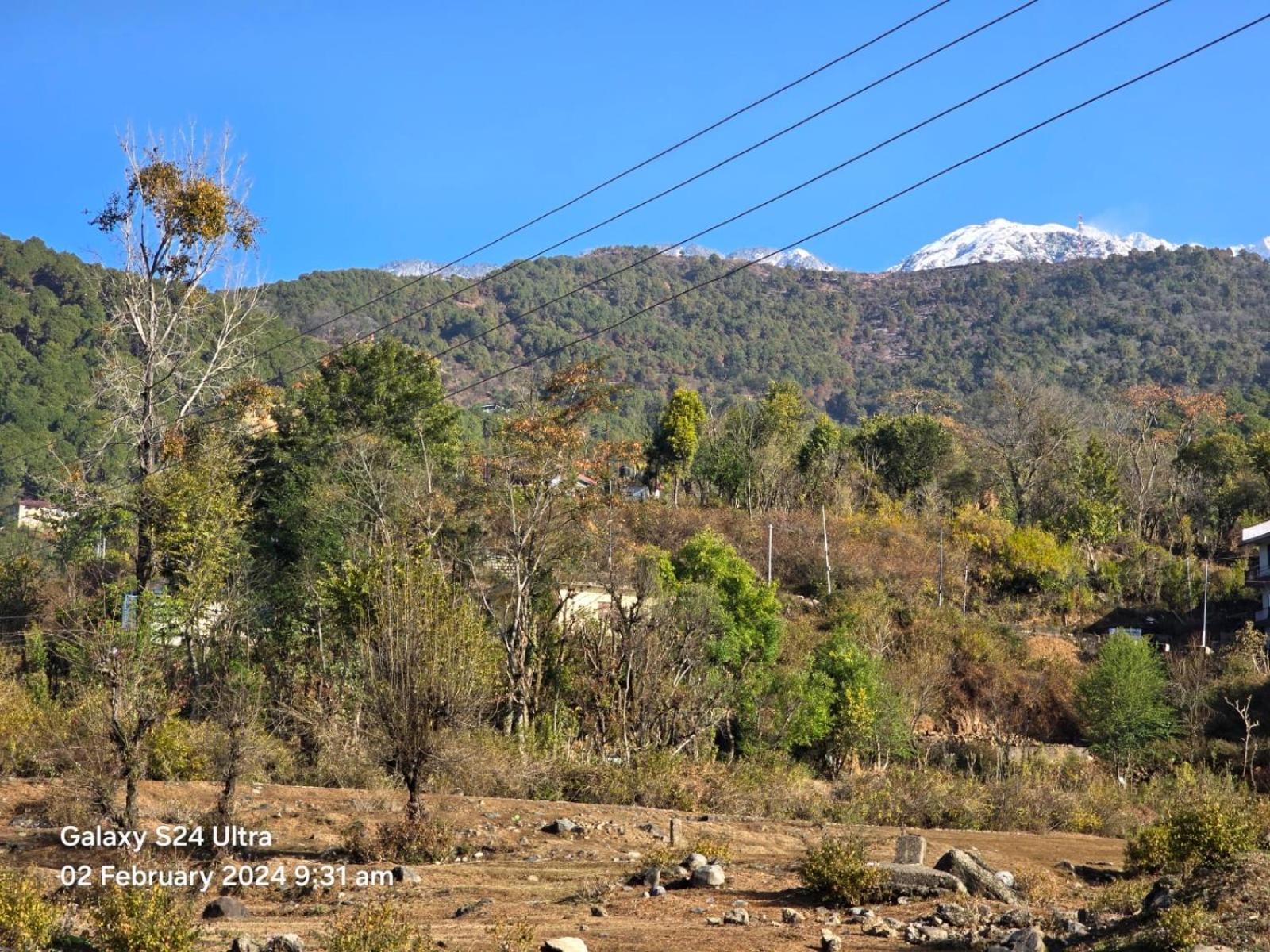 Hotel Radiant Meadows Dharamshala