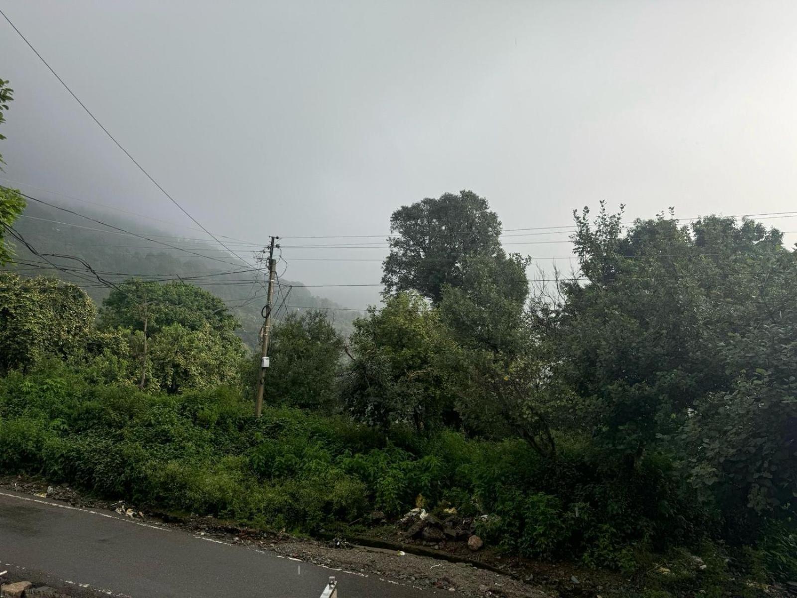 Hotel Radiant Meadows Dharamshala