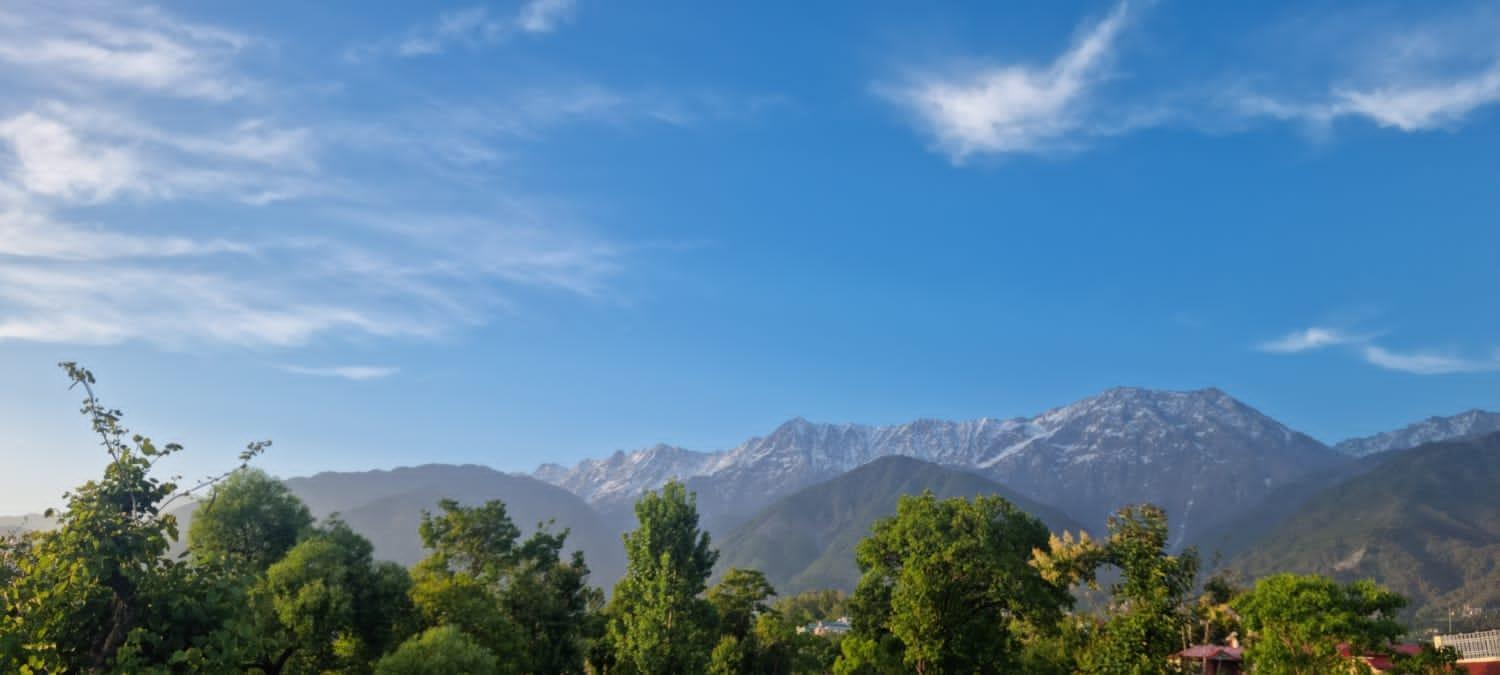 Homestay Grisha Dharamshala