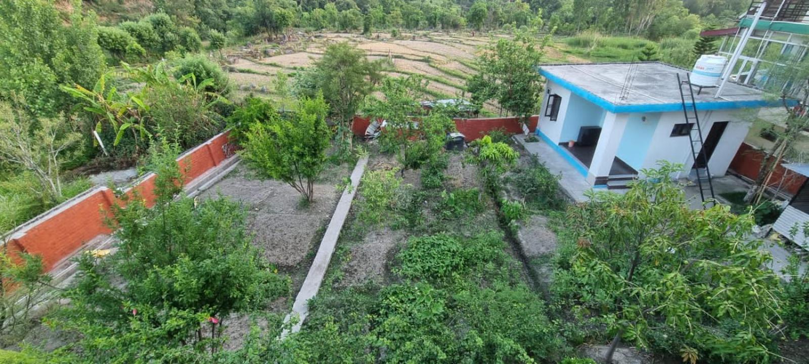 Grisha Homestay *