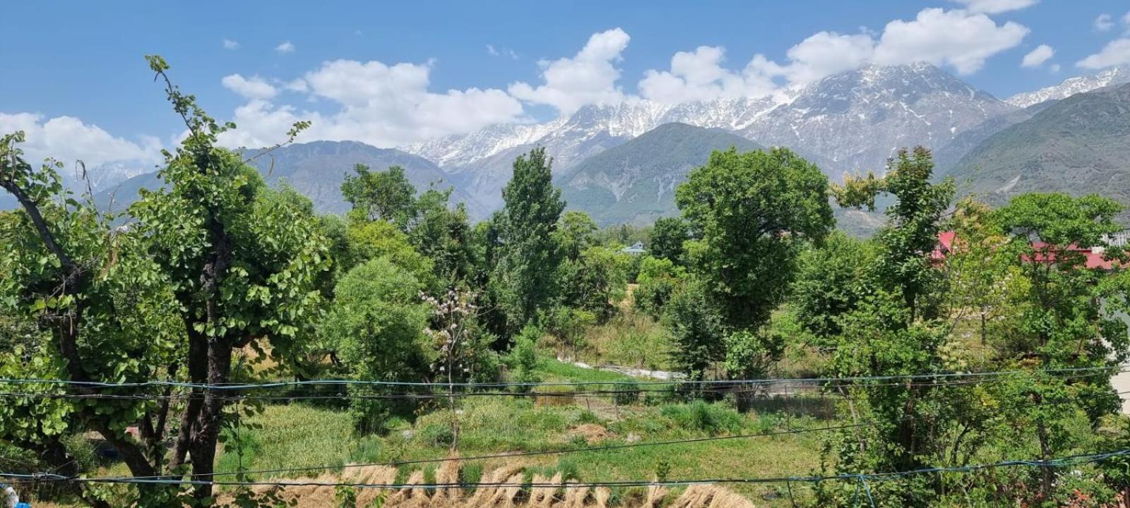 Grisha Dharamshala