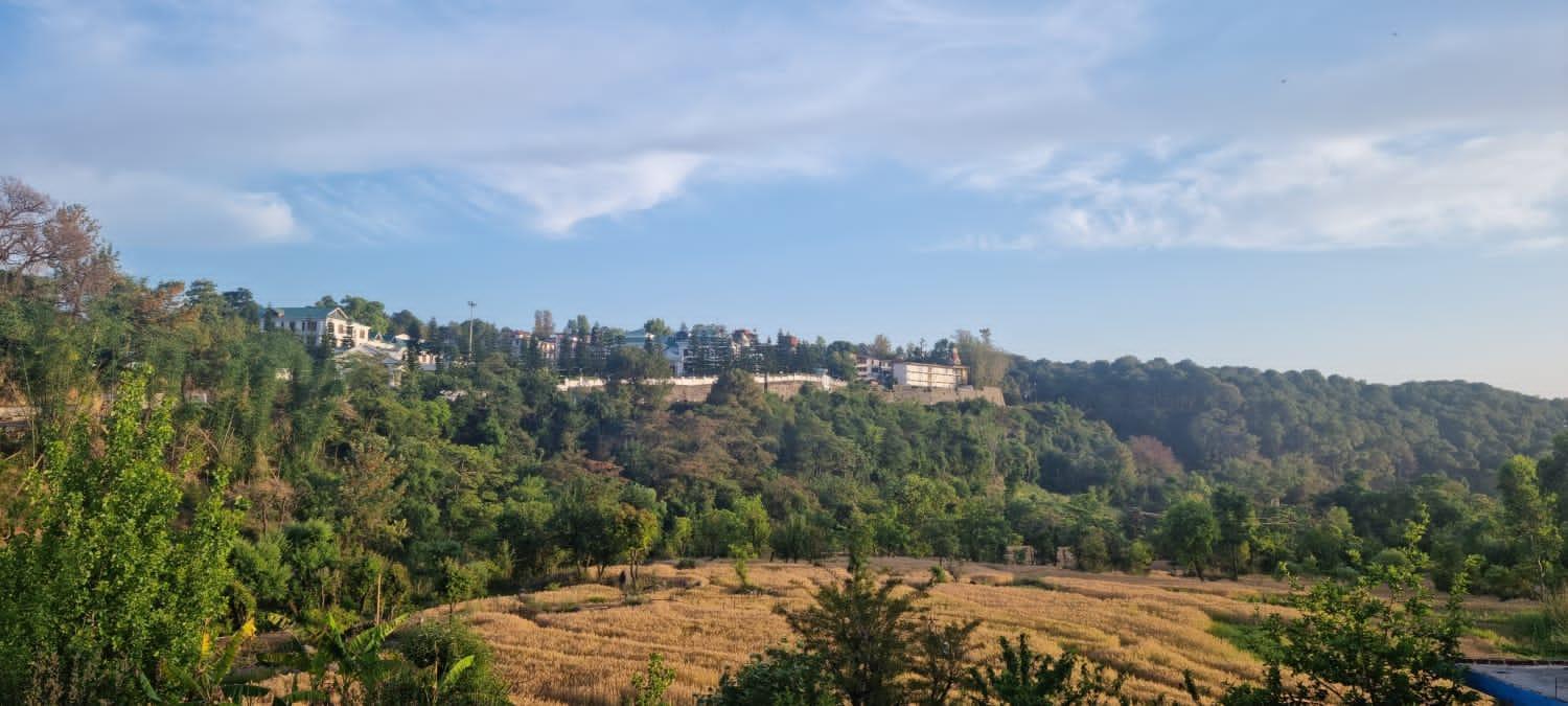 Grisha * Dharamshala