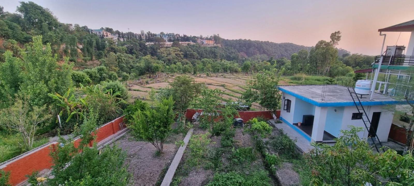 Homestay Grisha