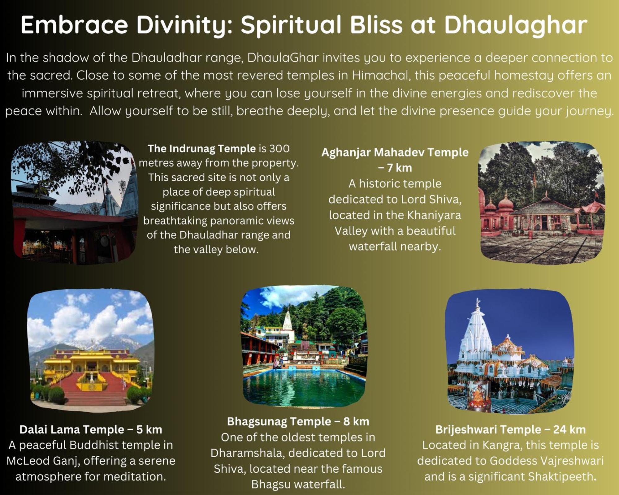 Dhaulaghar - Silence, Culture And Serenity * Dharamshala