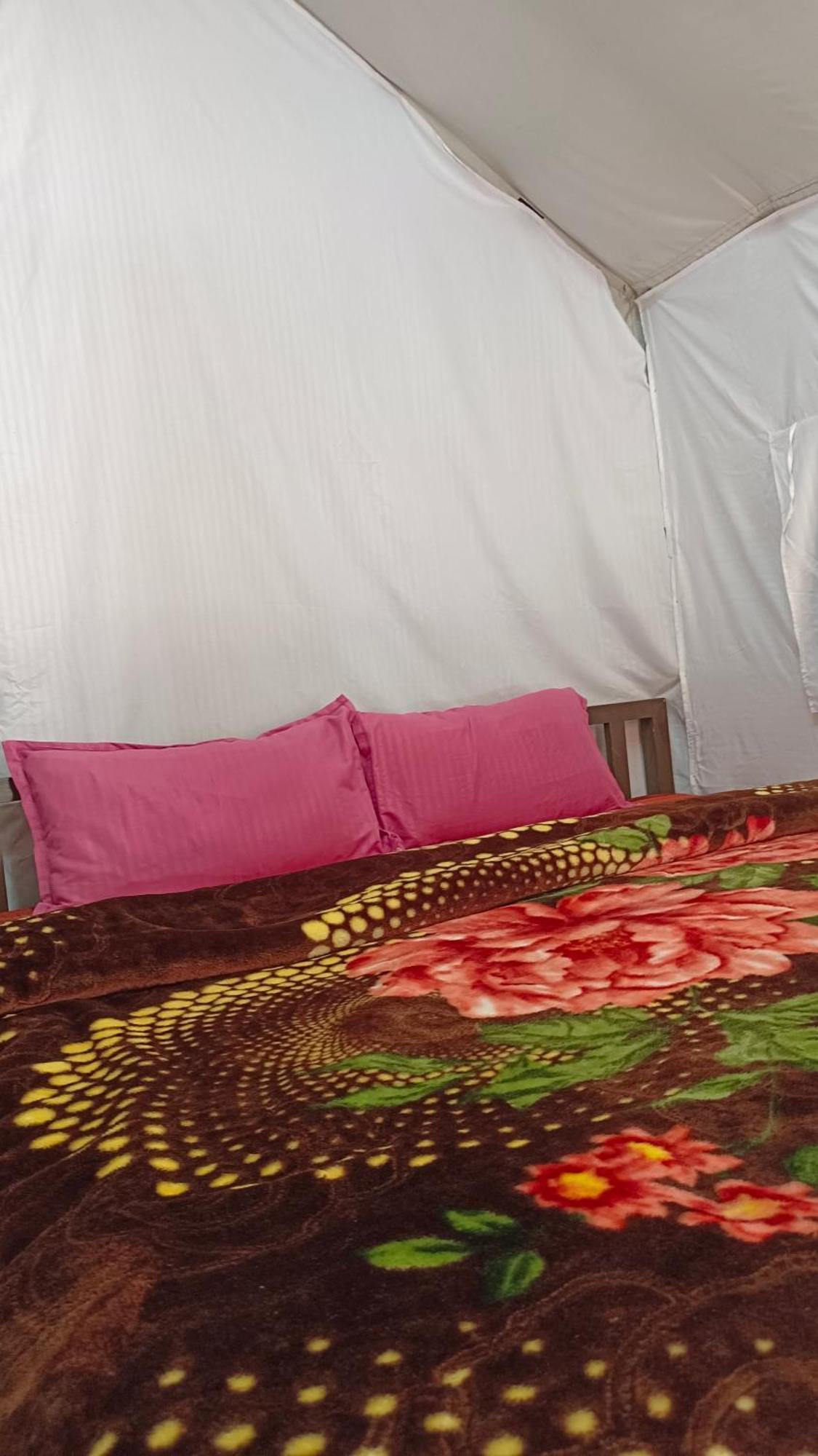 Camp Bhagsu Dharamshala