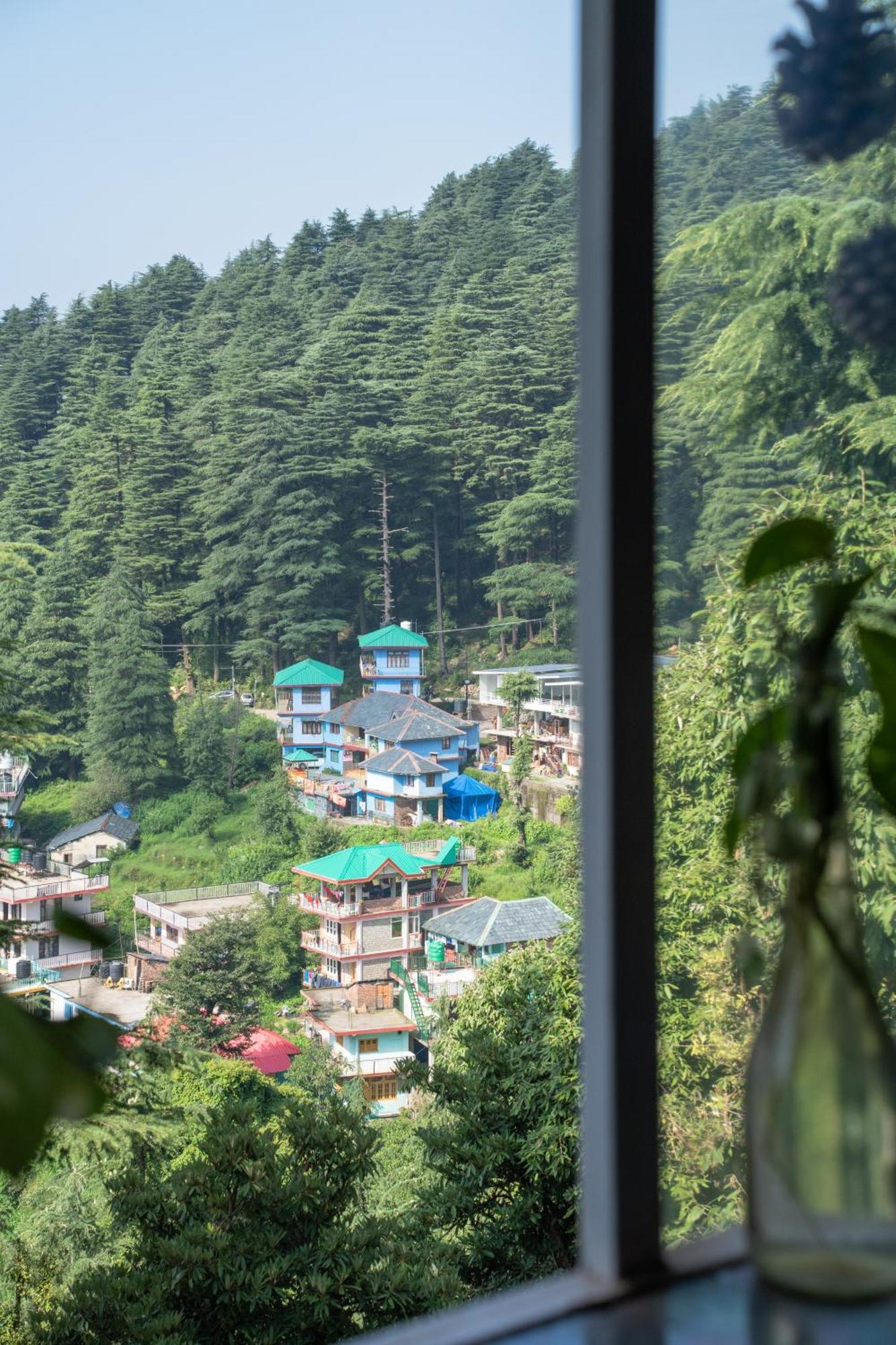 The Unmad - Dharamkot Dharamshala