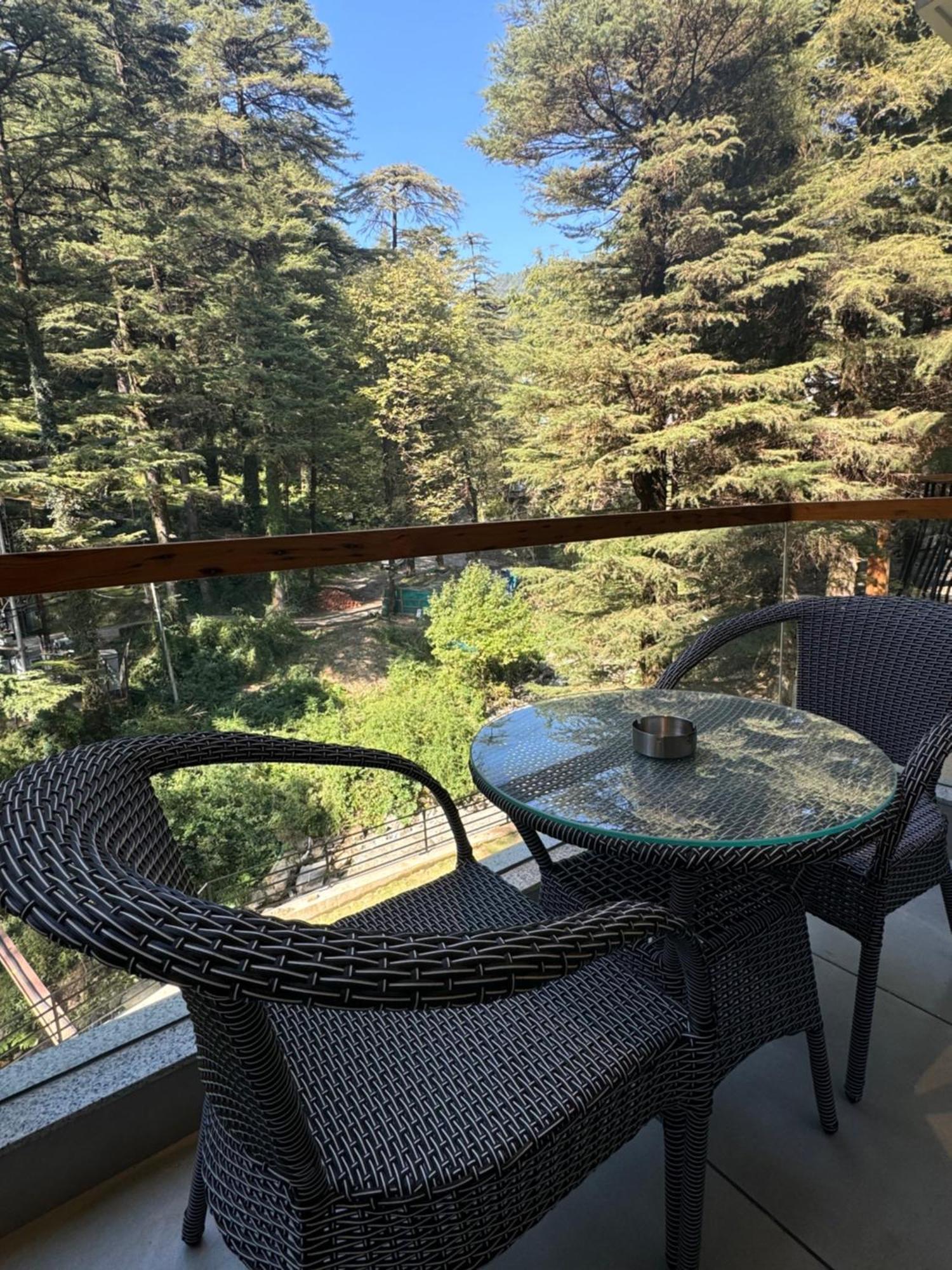 Mastiff Select Mandavya Dharamkot, Mcleodganj