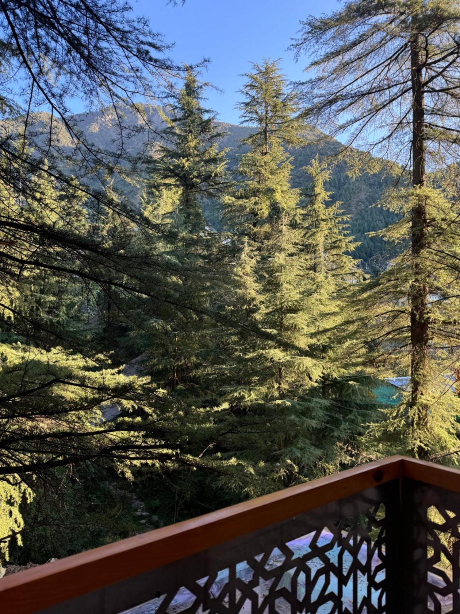 Mastiff Select Mandavya Dharamkot, Mcleodganj Hotel