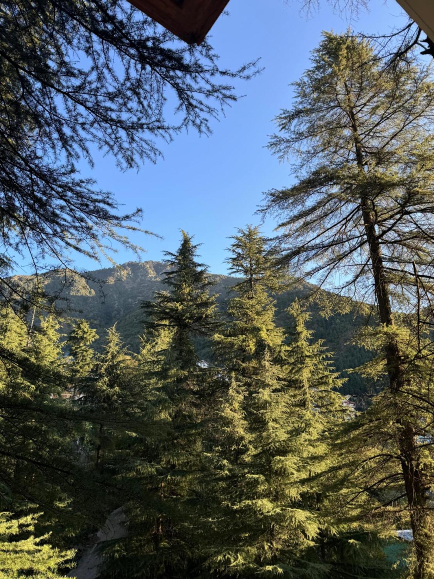 Mastiff Select Mandavya Dharamkot, Mcleodganj Hotel 5*