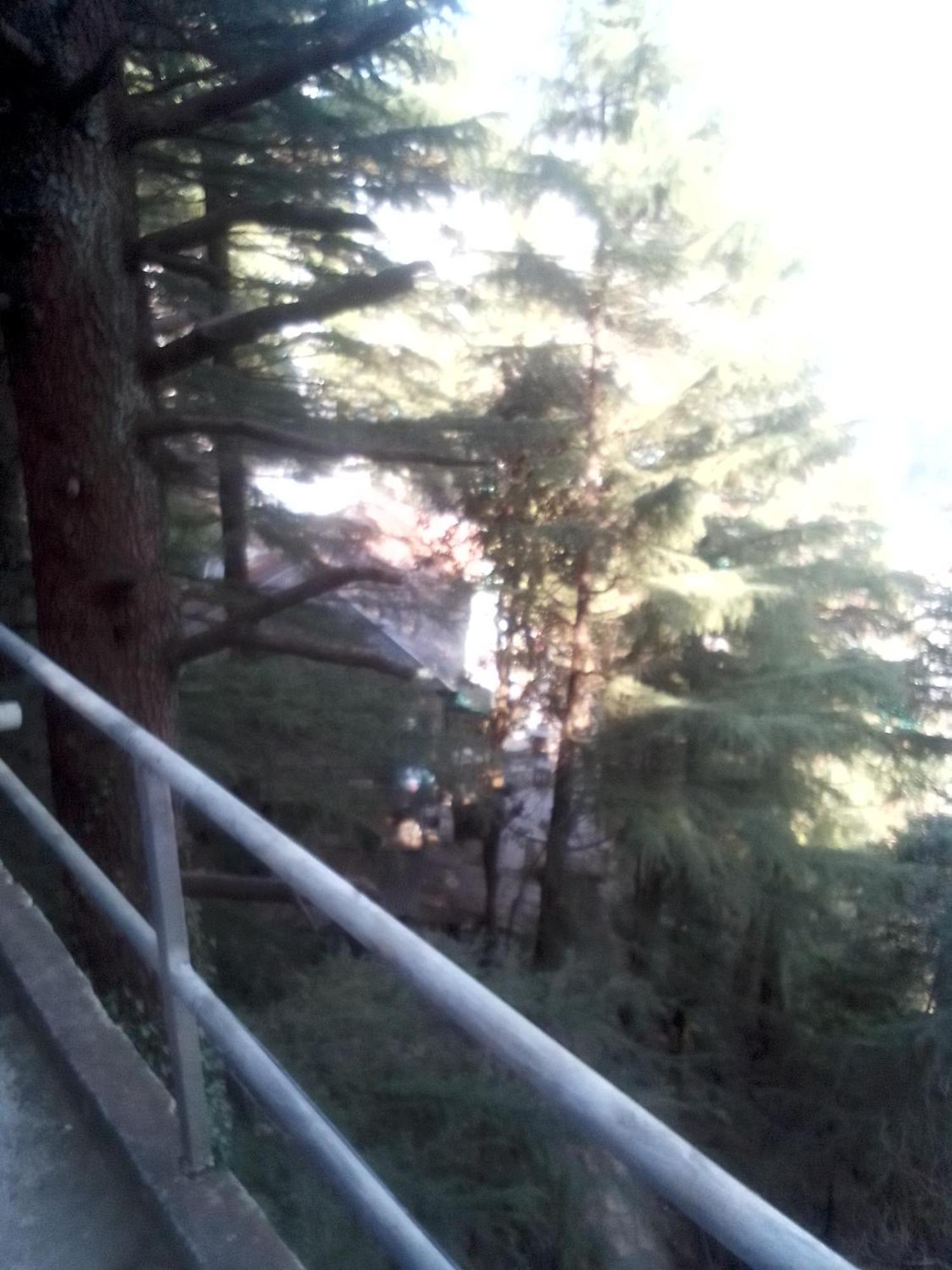 Hostel Himalayan Triund Trekking *