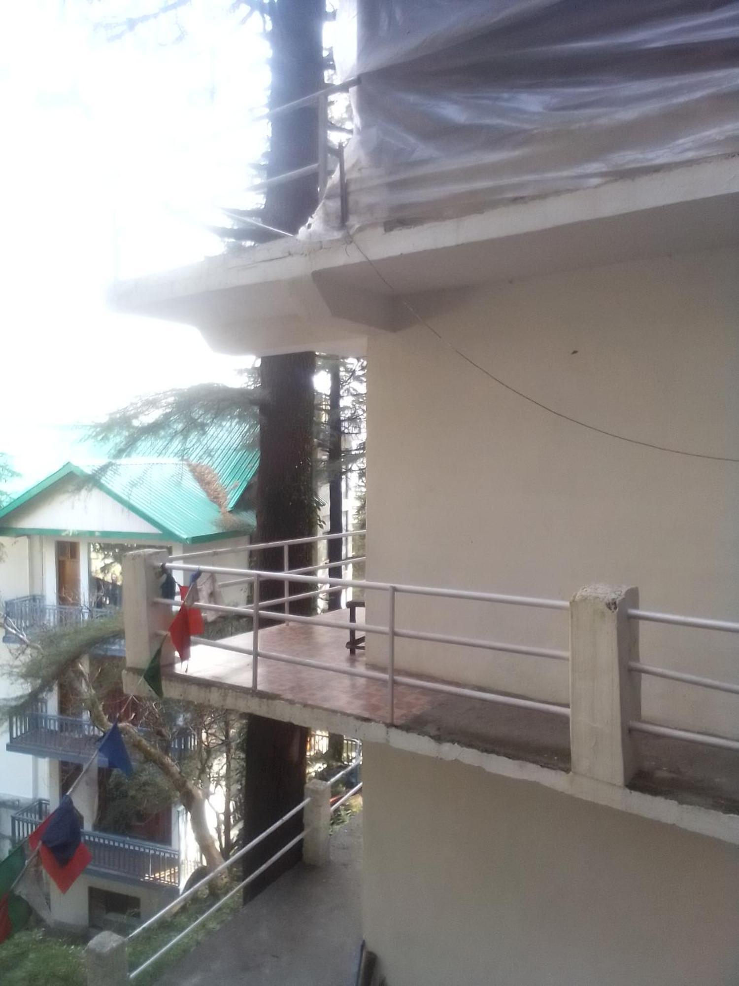 Hostel Himalayan Triund Trekking