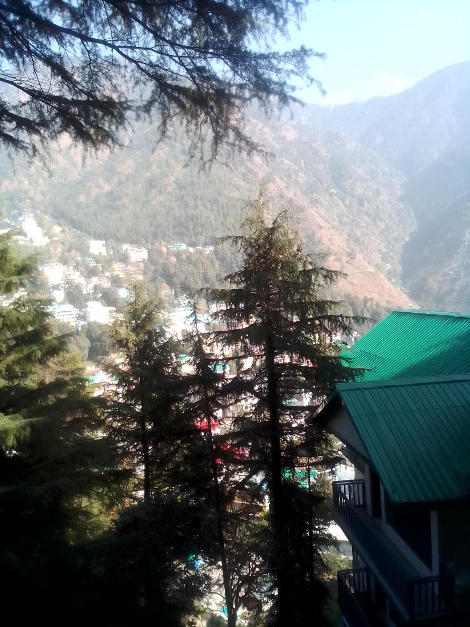 Himalayan Triund Trekking Hostel Dharamshala
