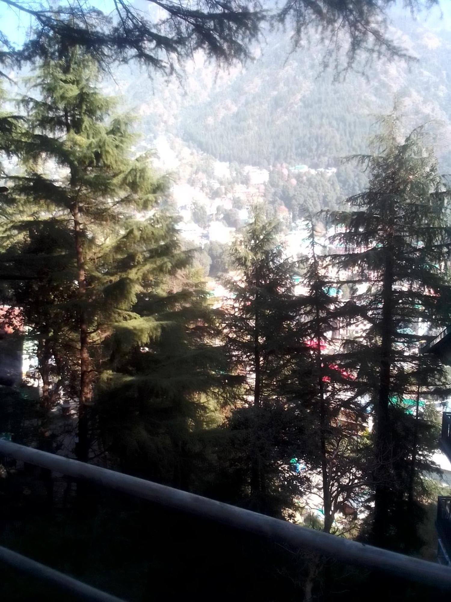 Himalayan Triund Trekking Hostel *