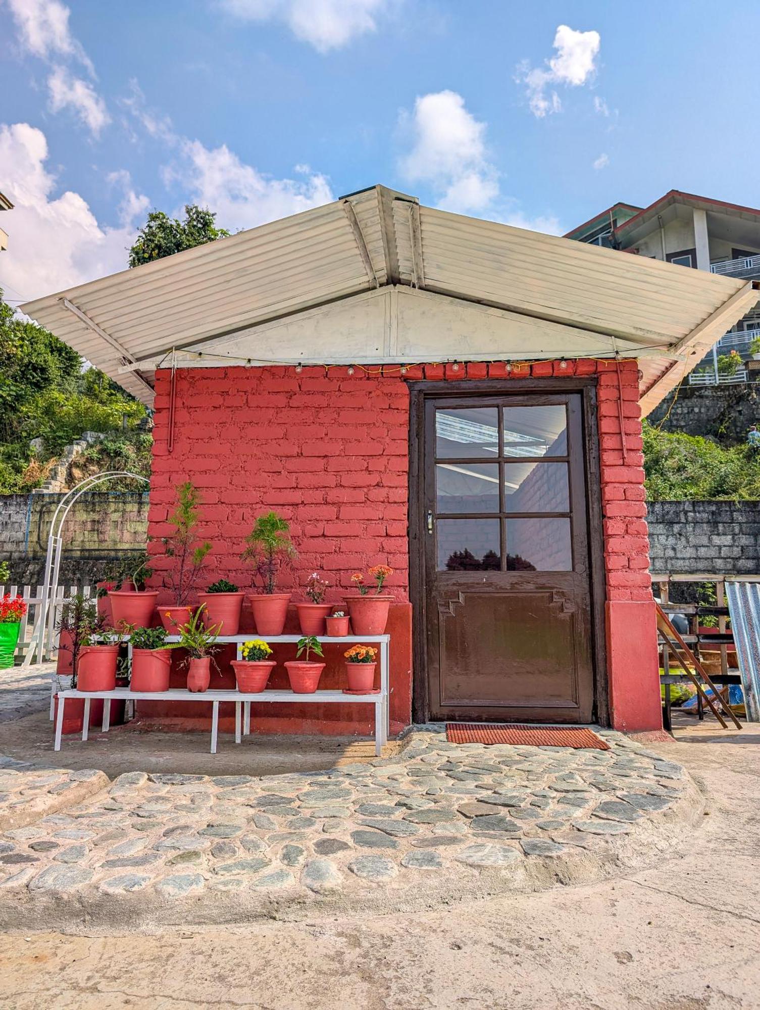 Hobo * Dharamshala