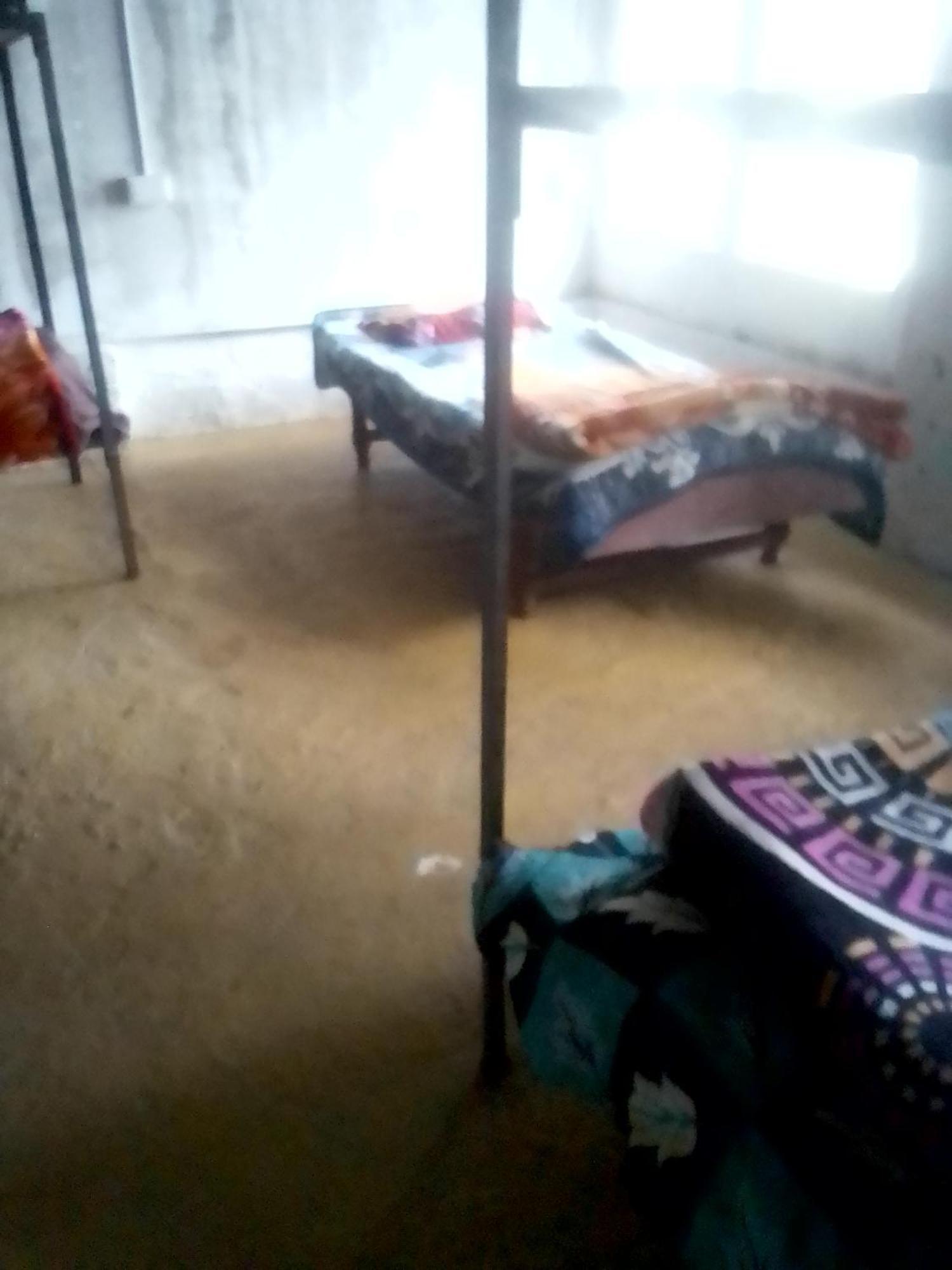 Himalayan Bed & Breakfast, Triund Hill Trekking And Snowline Trekking