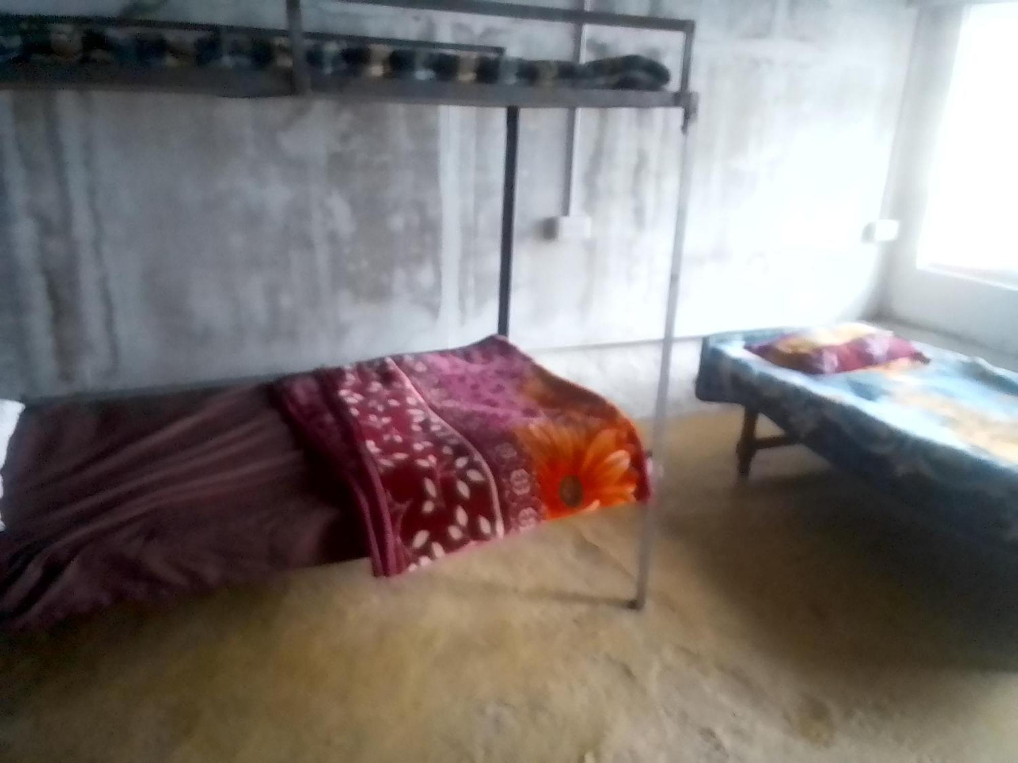 Himalayan Bed & Breakfast, Triund Hill Trekking And Snowline Trekking *