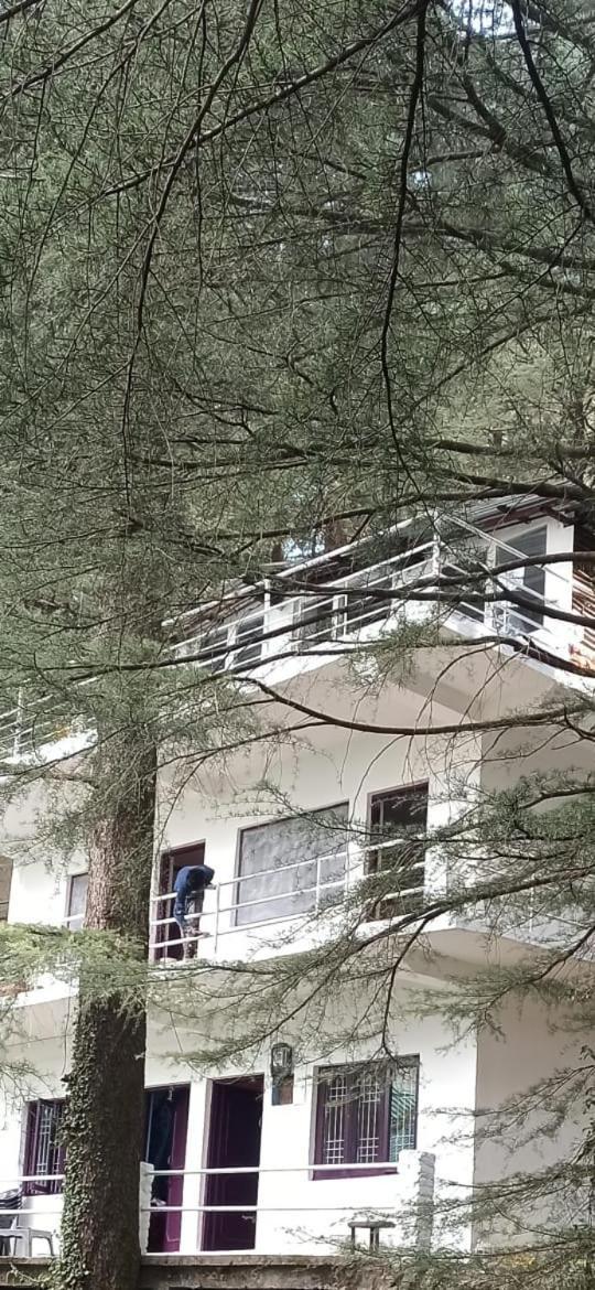 Himalayan Bed & Breakfast, Triund Trekking And Snowline Trekking * Dharamshala