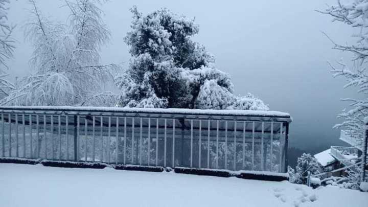 O Snow Mountain & Restaurant Dharamshala