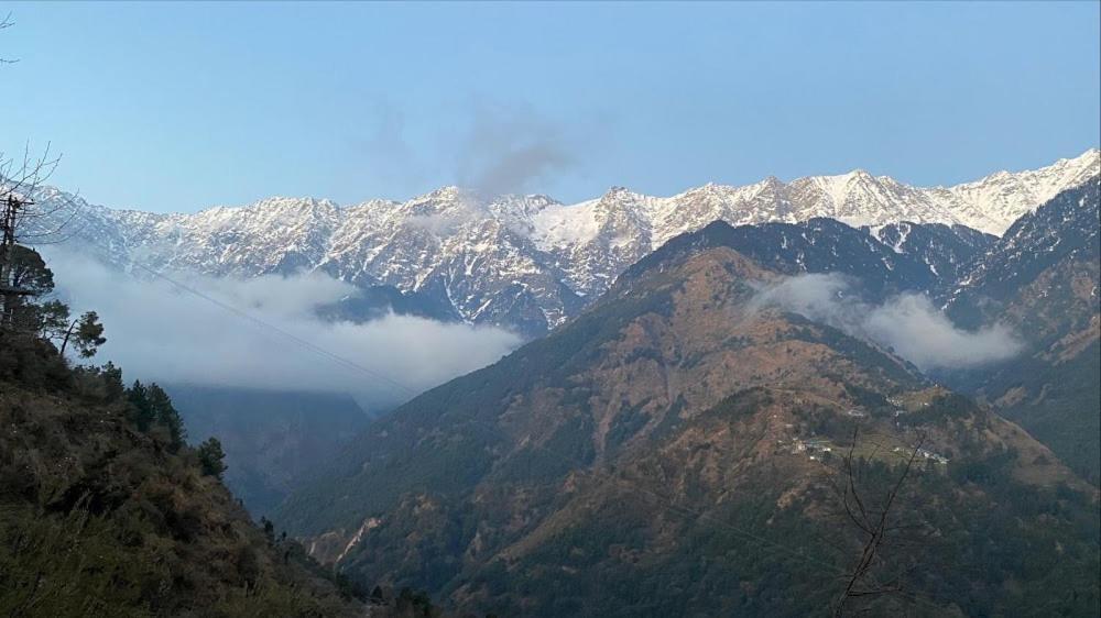 Anchal House Dharamshala
