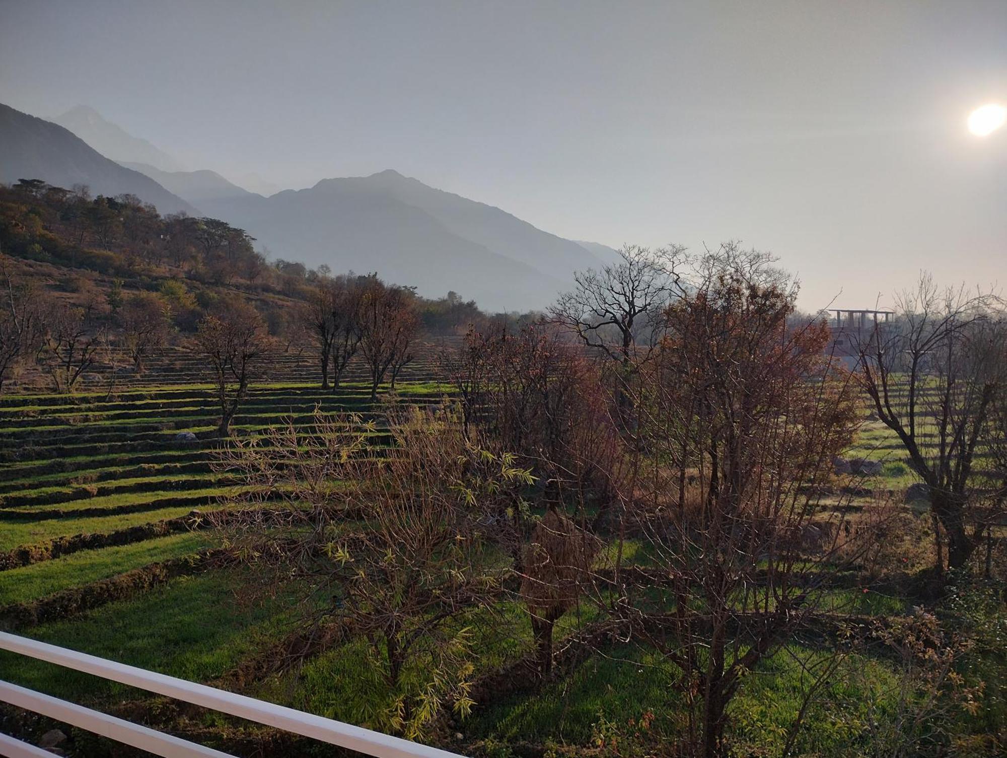 Lodge Anitra Dharamshala