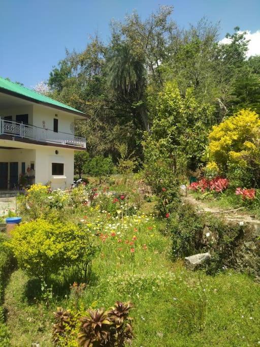 The Oasis Terrace At Rana's Niwas Chalet *