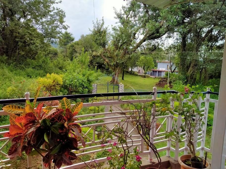 The Oasis Terrace At Rana's Niwas Dharamshala