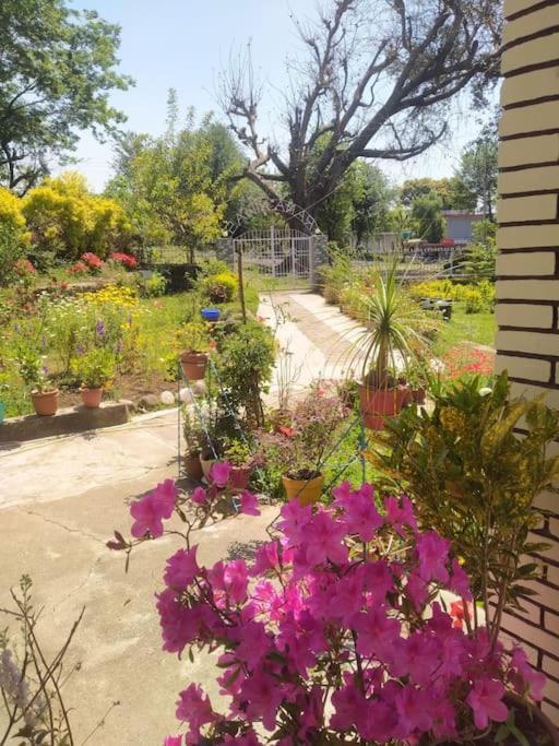 The Oasis Terrace At Rana's Niwas