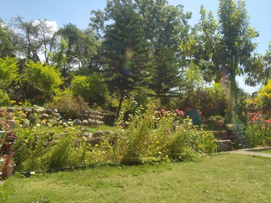 The Oasis Terrace At Rana's Niwas Chalet