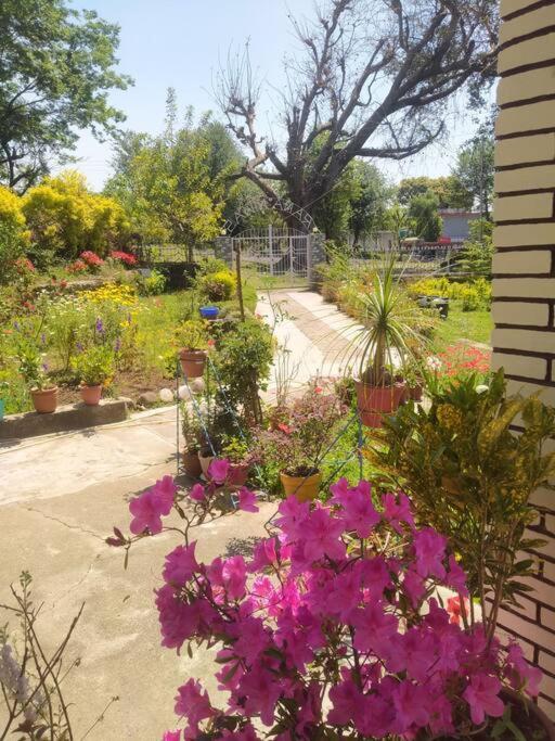 The Oasis Terrace At Rana's Niwas Chalet *