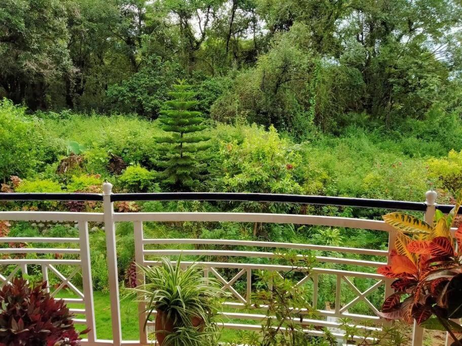 The Oasis Terrace At Rana's Niwas Dharamshala