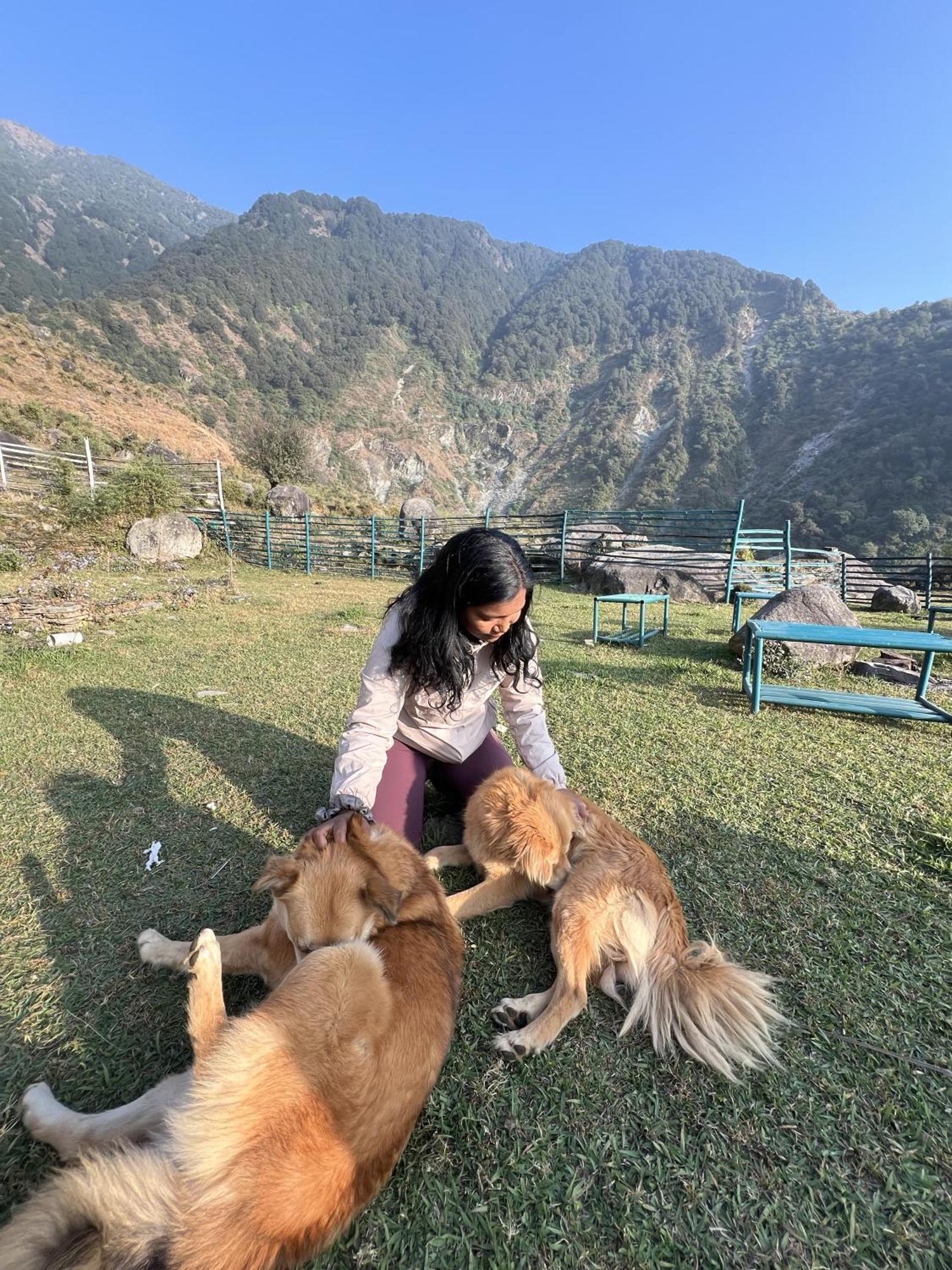Recluse Village By Himtrek Dharamshala