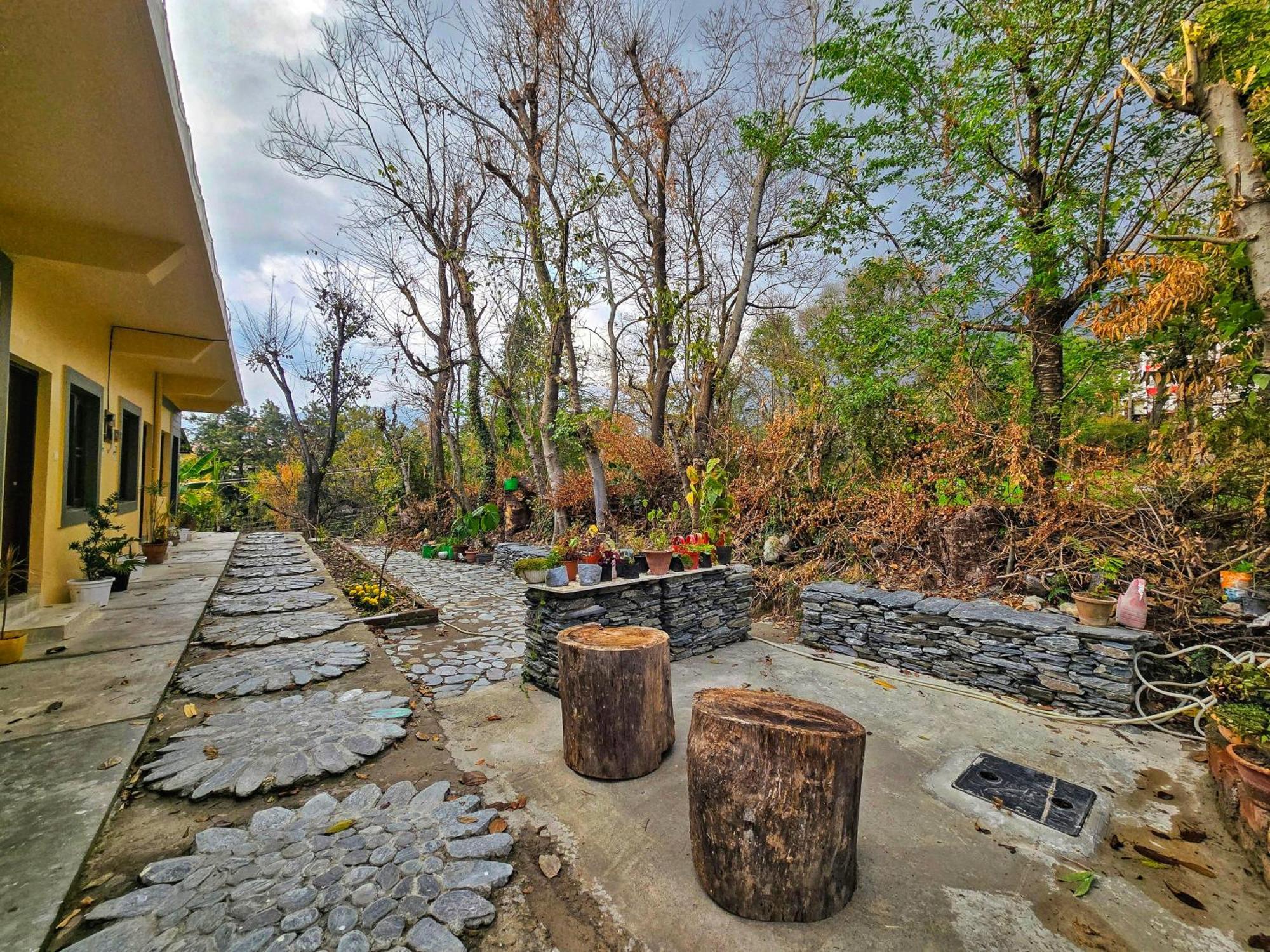 Dhauladhar Homestay Dharamshala