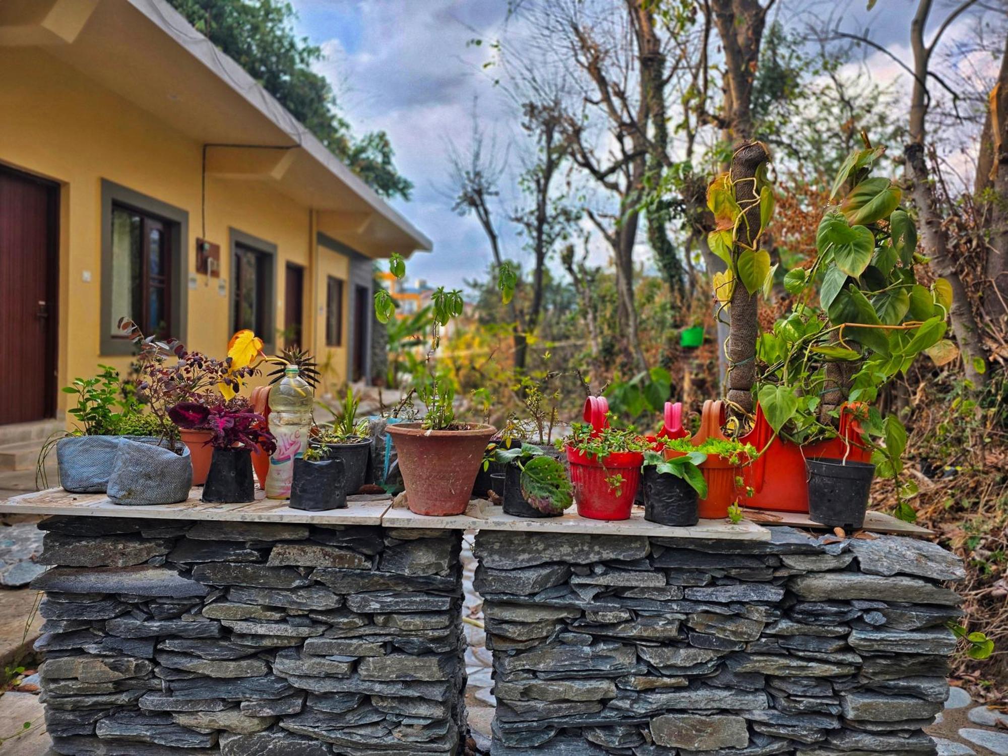 Dhauladhar * Dharamshala