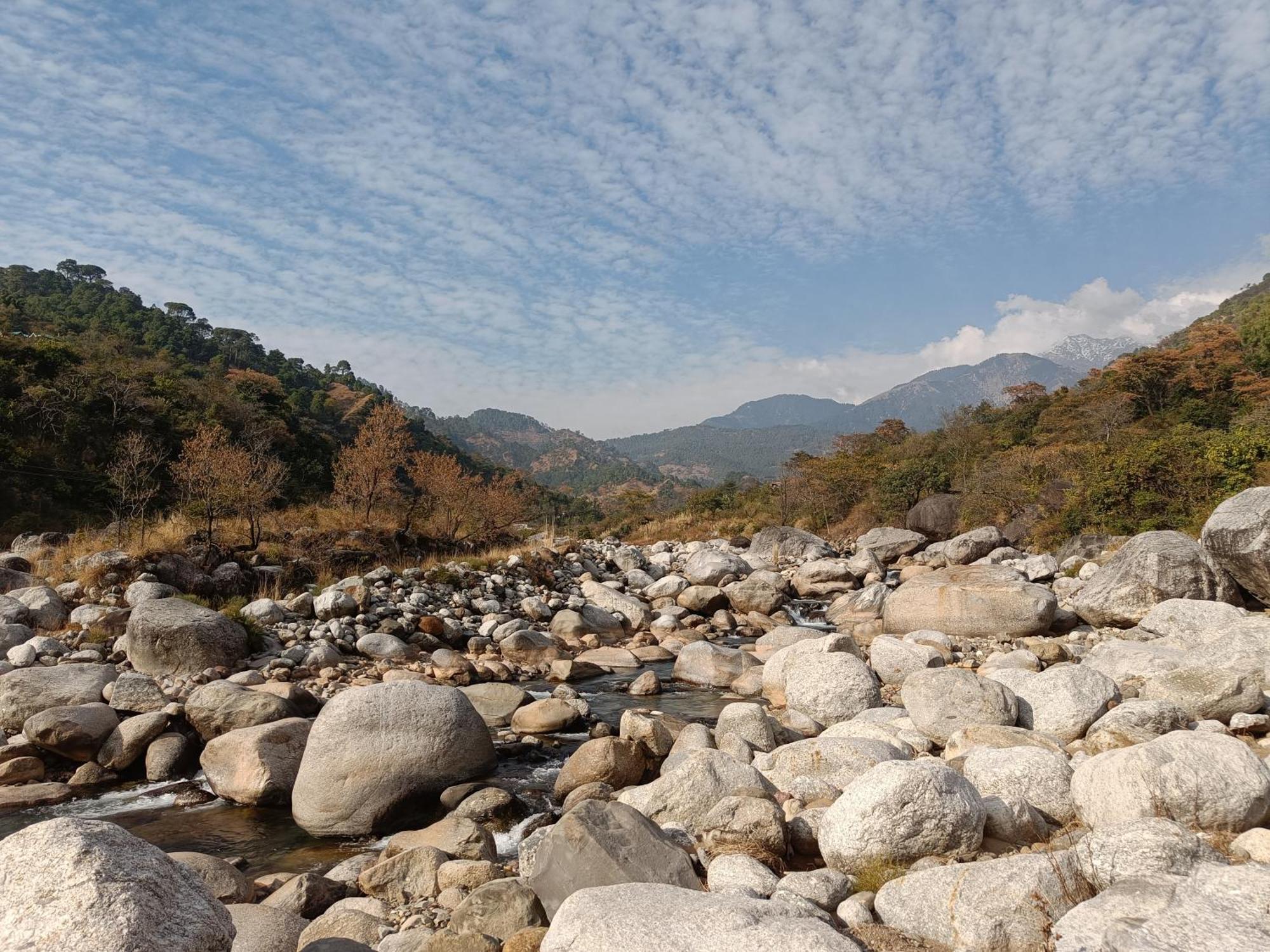 Homestay Riversong Dharamshala