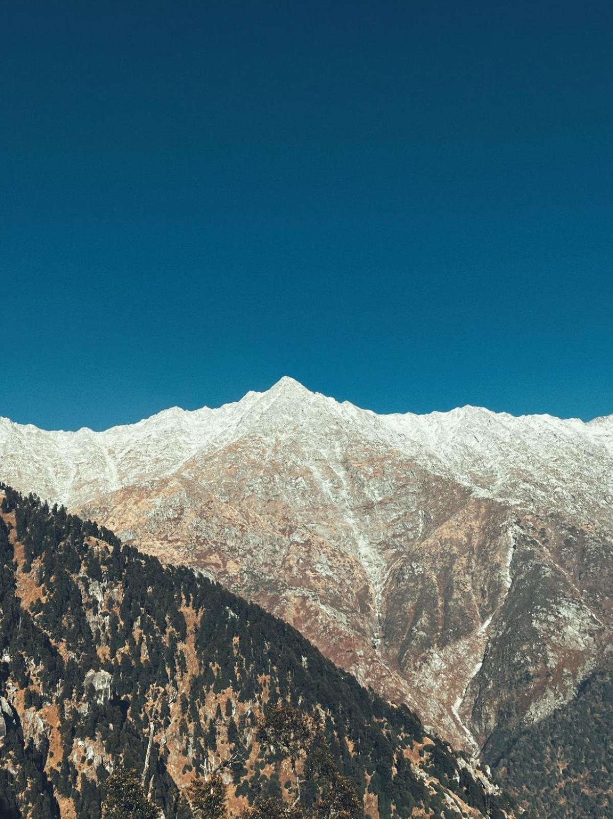 Echoes Apartment Dharamshala