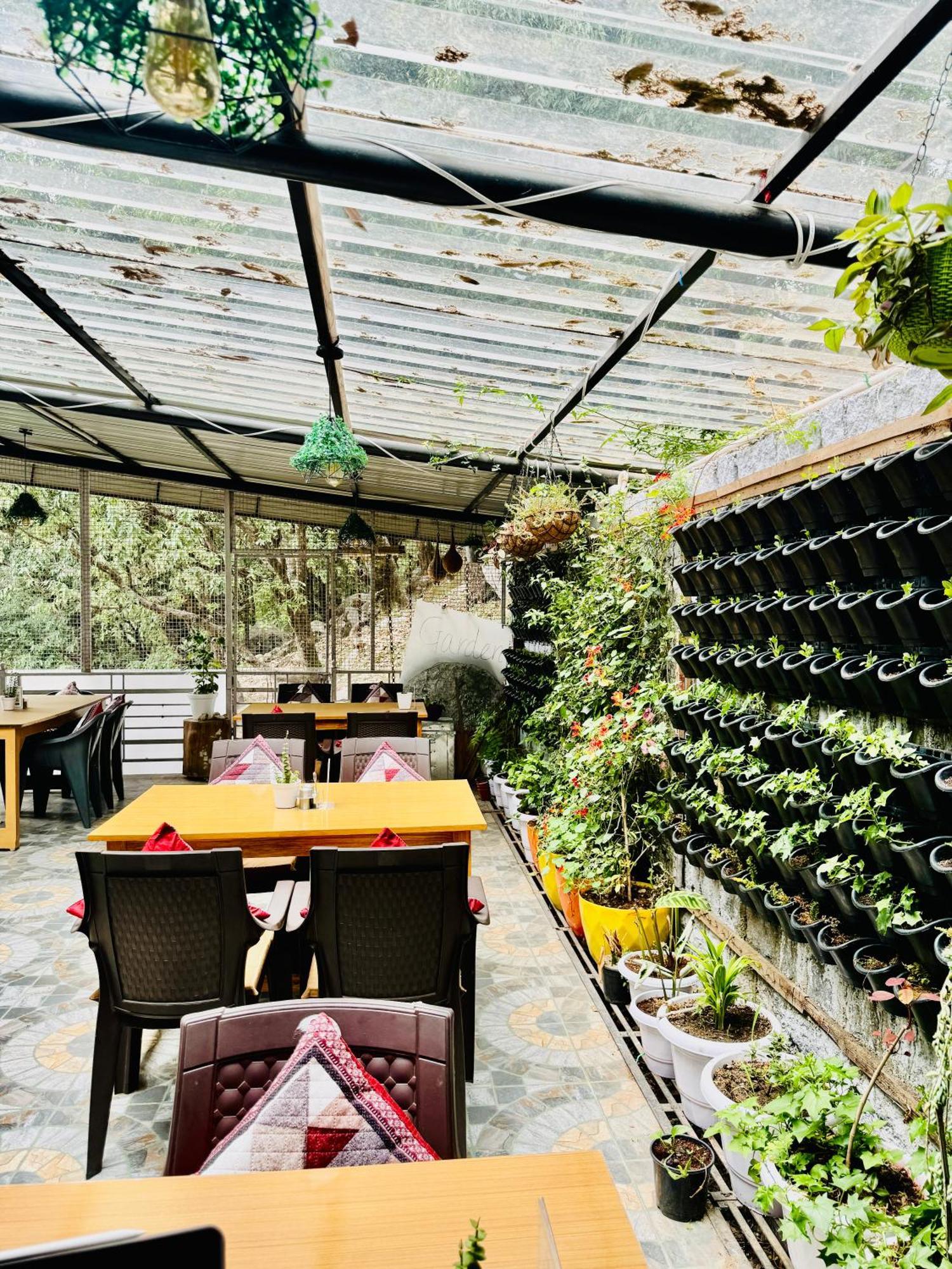 Guest house Paradise By Hbr Dharamshala
