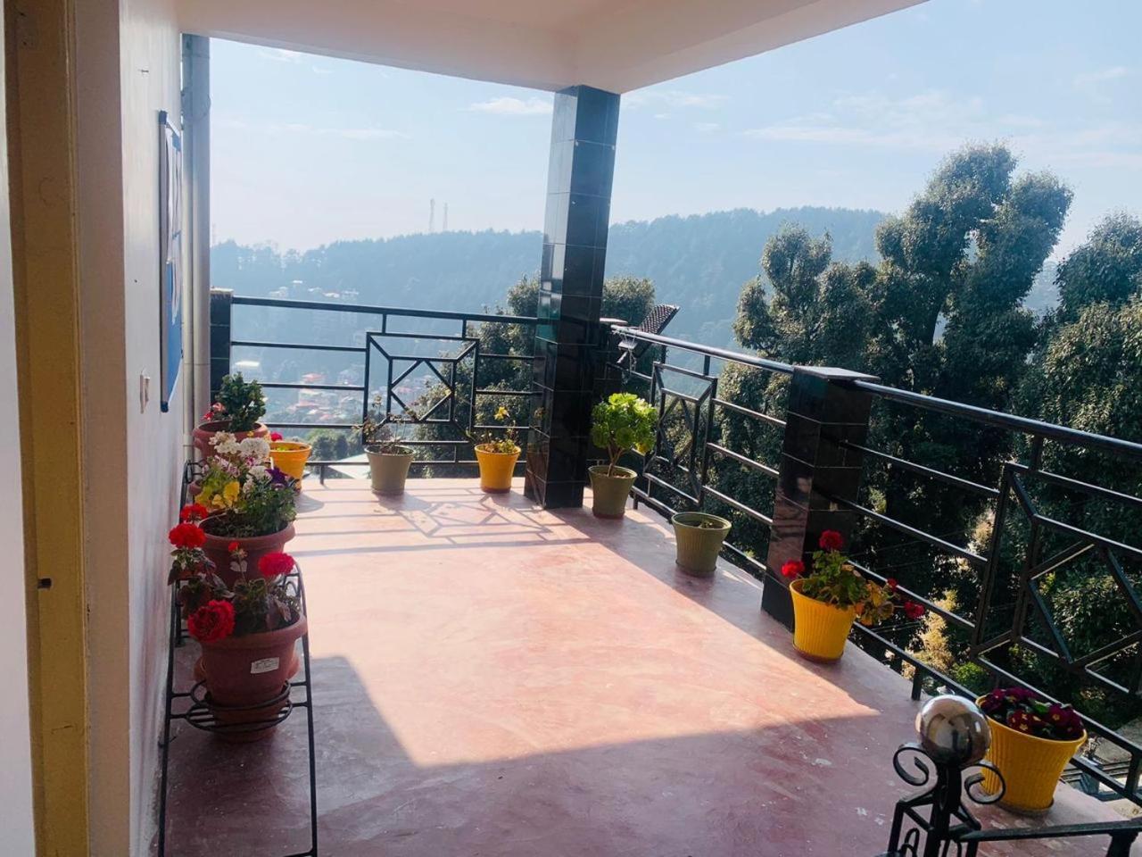 Guest house Oasis Bhagsu D'shala *