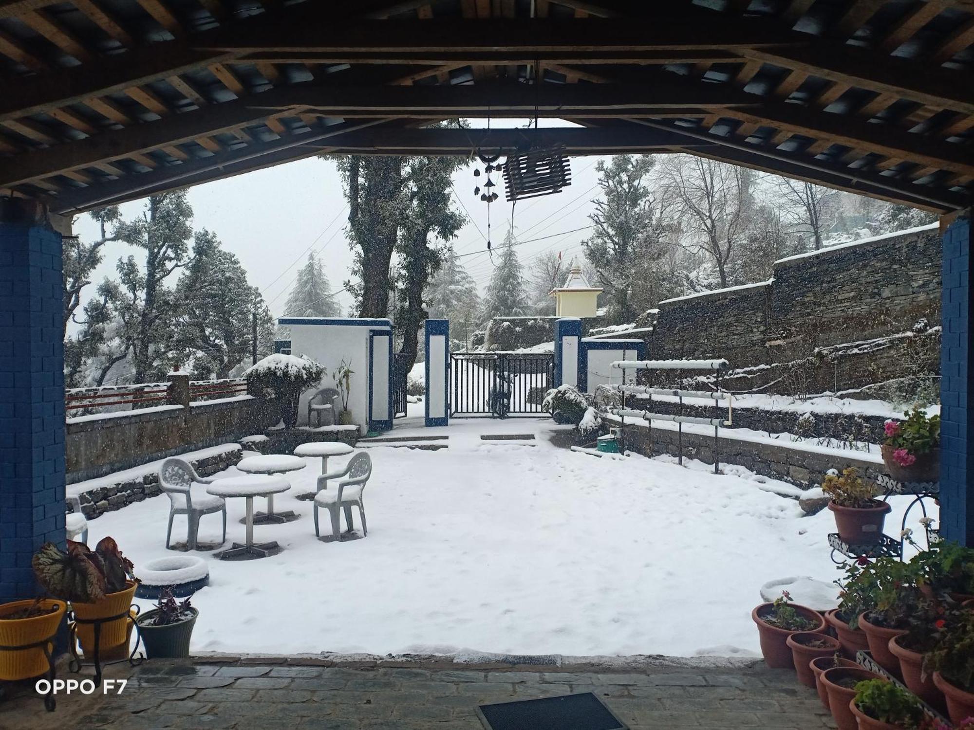 Oasis Bhagsu D'shala Guest house