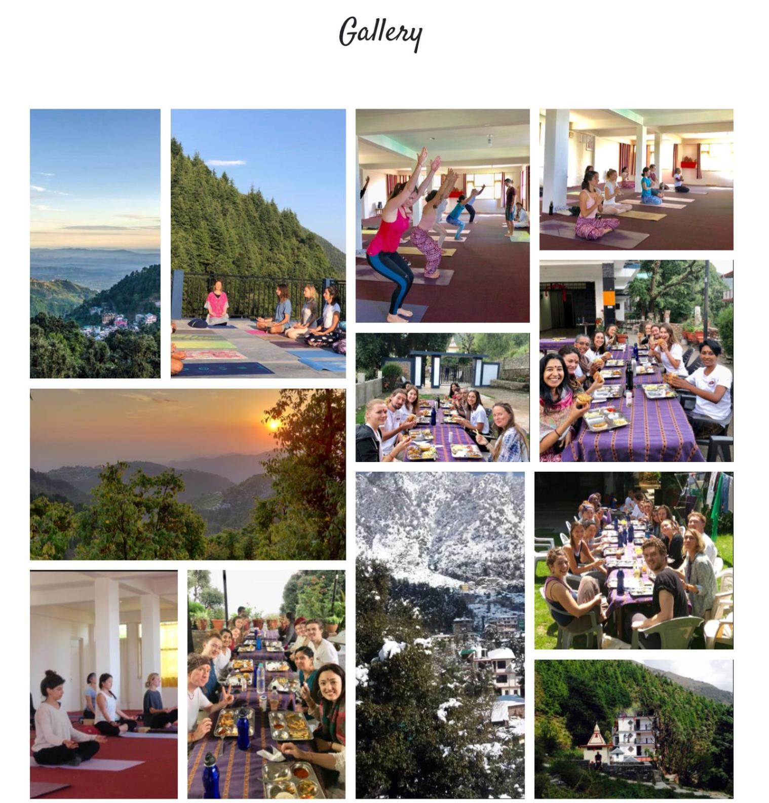 Oasis Bhagsu D'shala Guest house Dharamshala