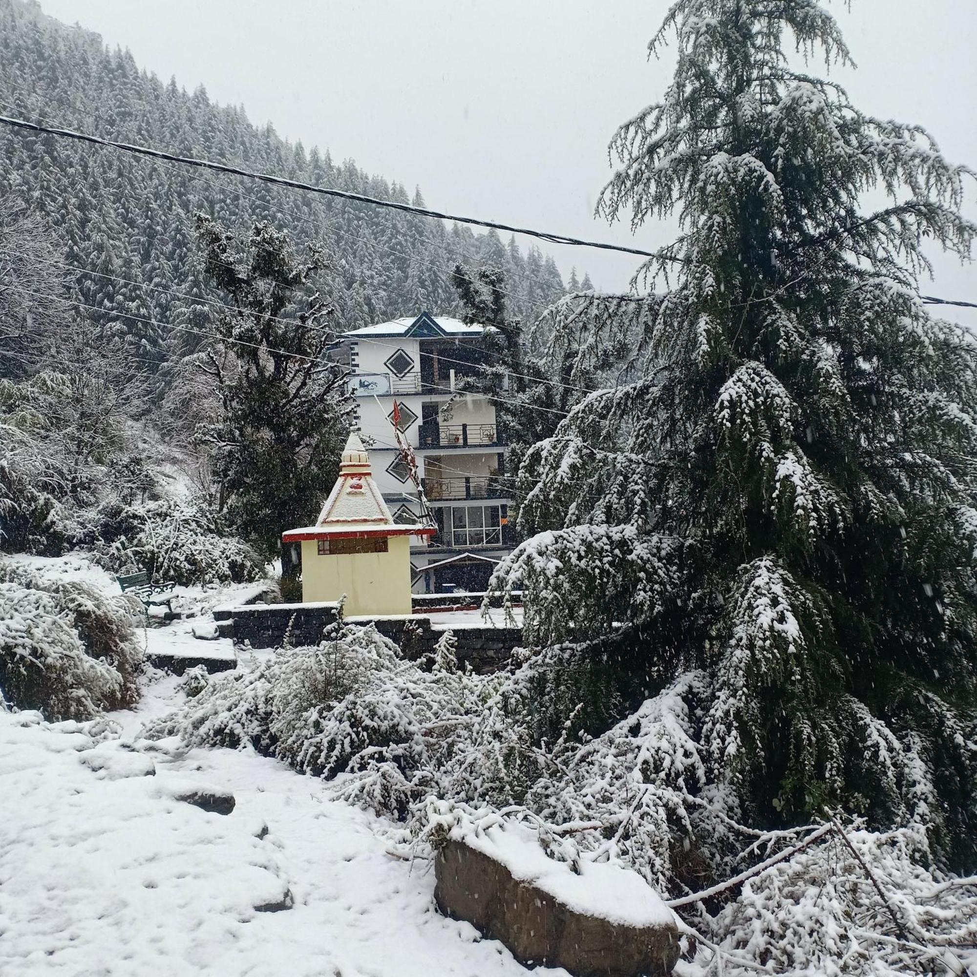 Oasis Bhagsu D'shala Guest house Dharamshala