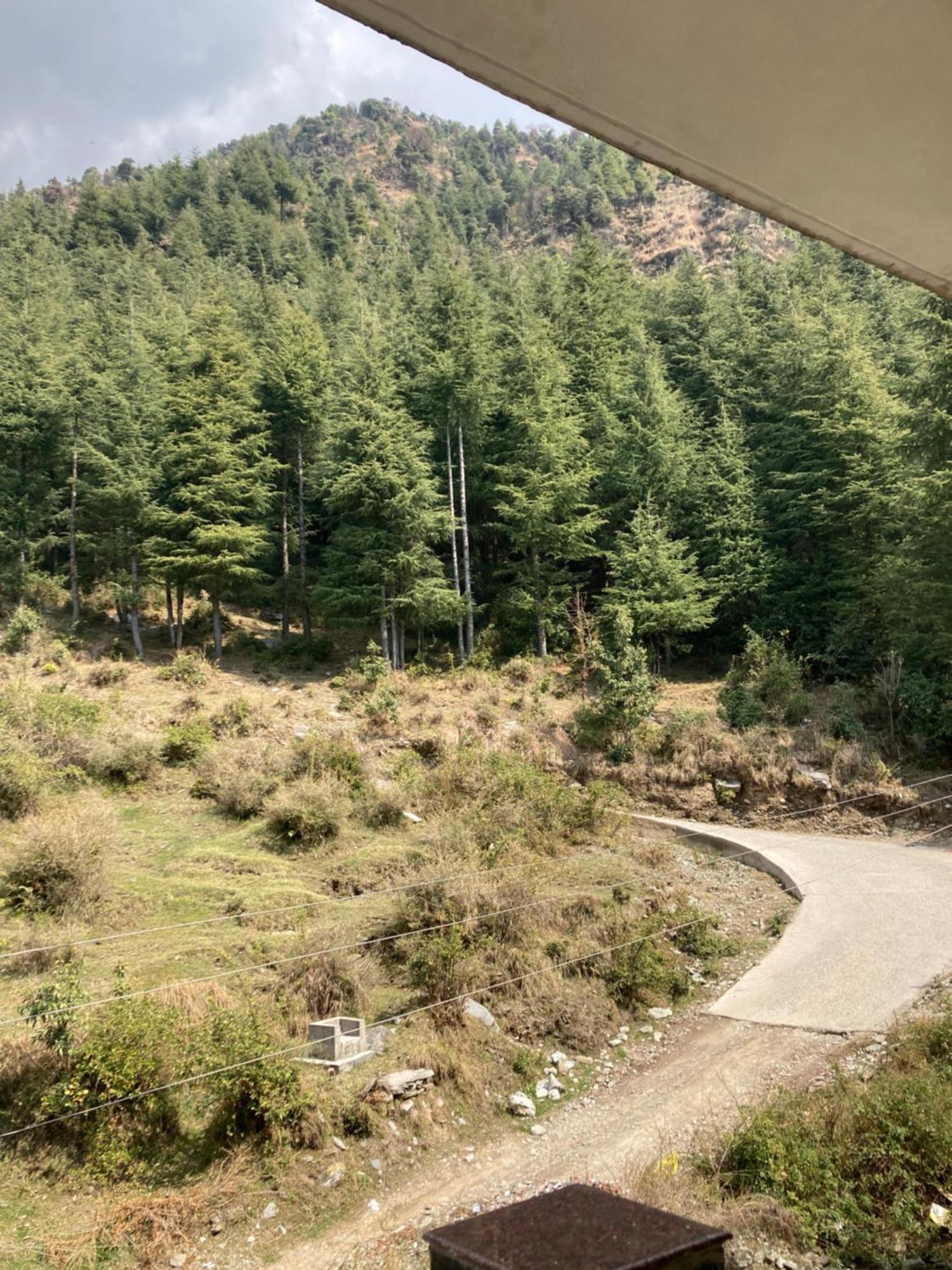 Oasis Bhagsu D'shala Guest house