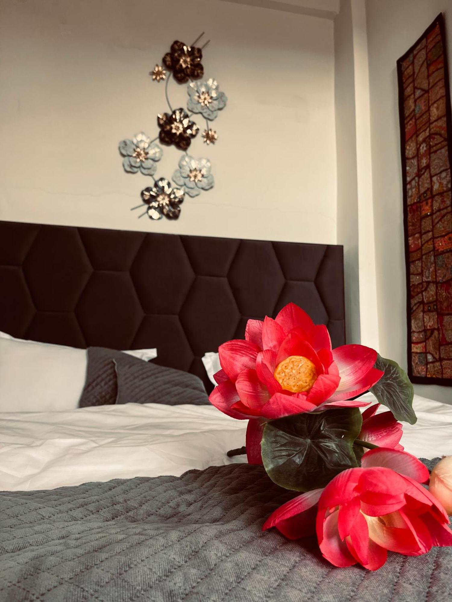Homestay Madhuban A Himalayan Dharamshala