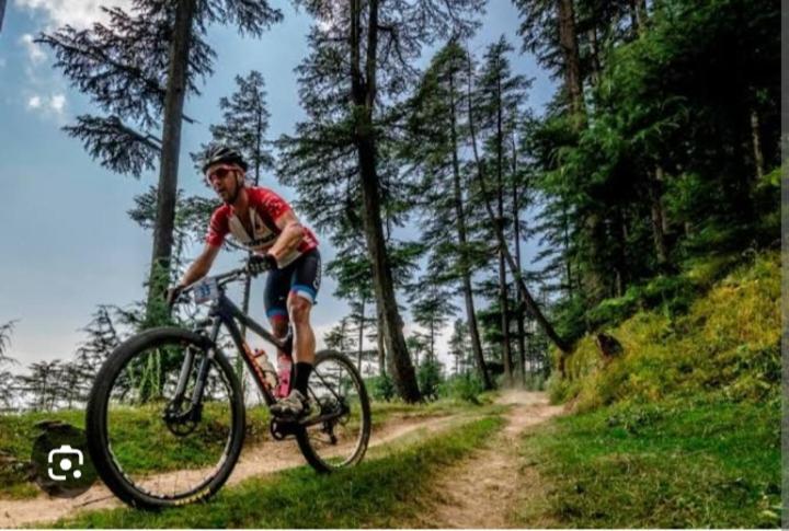 Tranquil Trails Naddi * Dharamshala