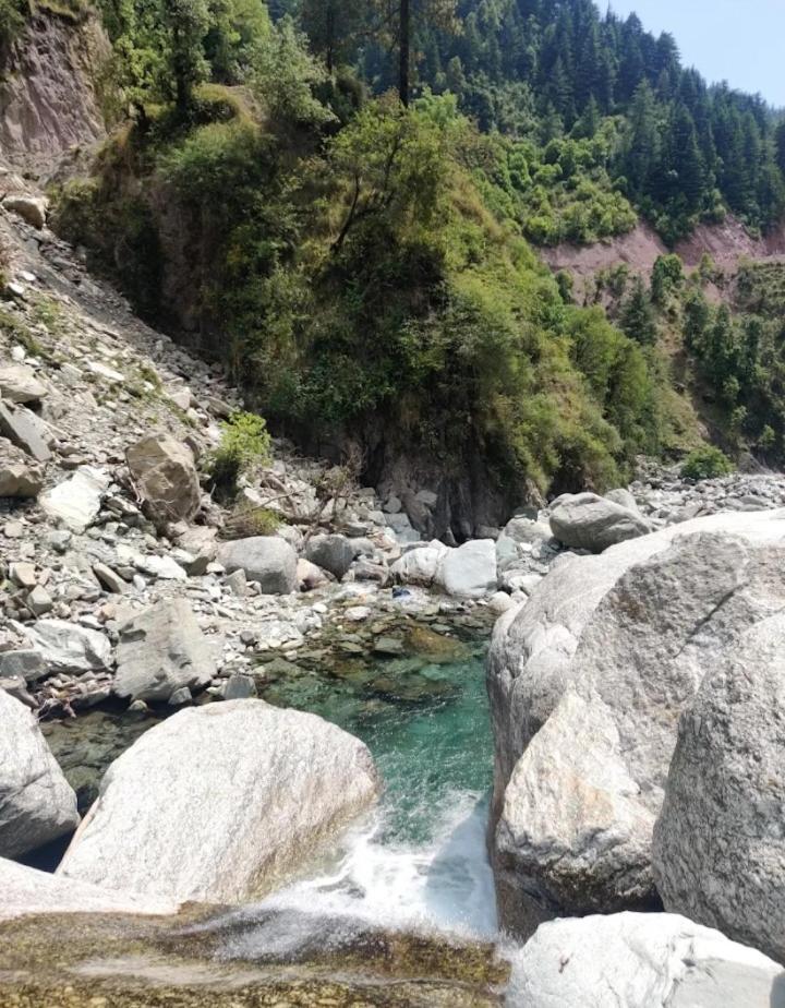 Tranquil Trails Naddi Homestay