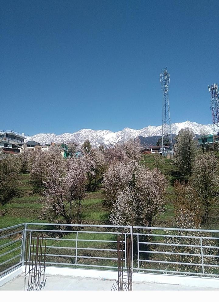 Tranquil Trails Naddi * Dharamshala