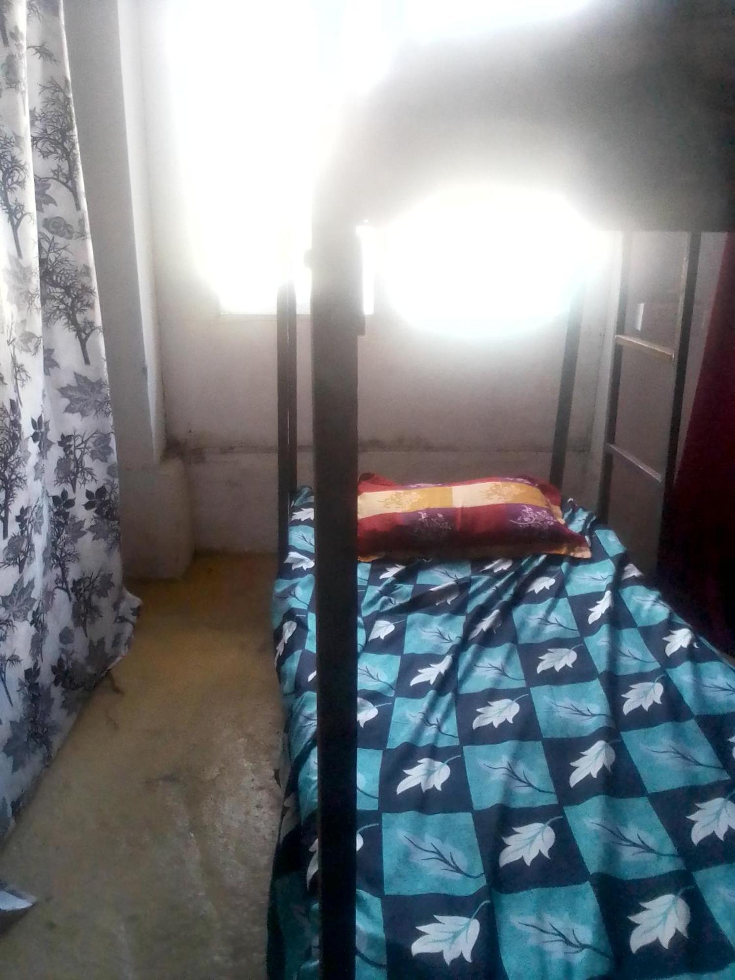 Himalayan Bed & Breakfast, Triund Trekking And Snowline Trekking