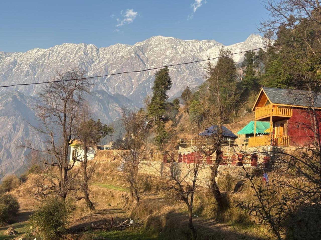 Naddi Pine Wood Hut Apartment