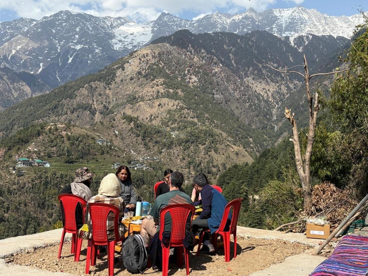 Naddi Pine Wood Hut Apartment *