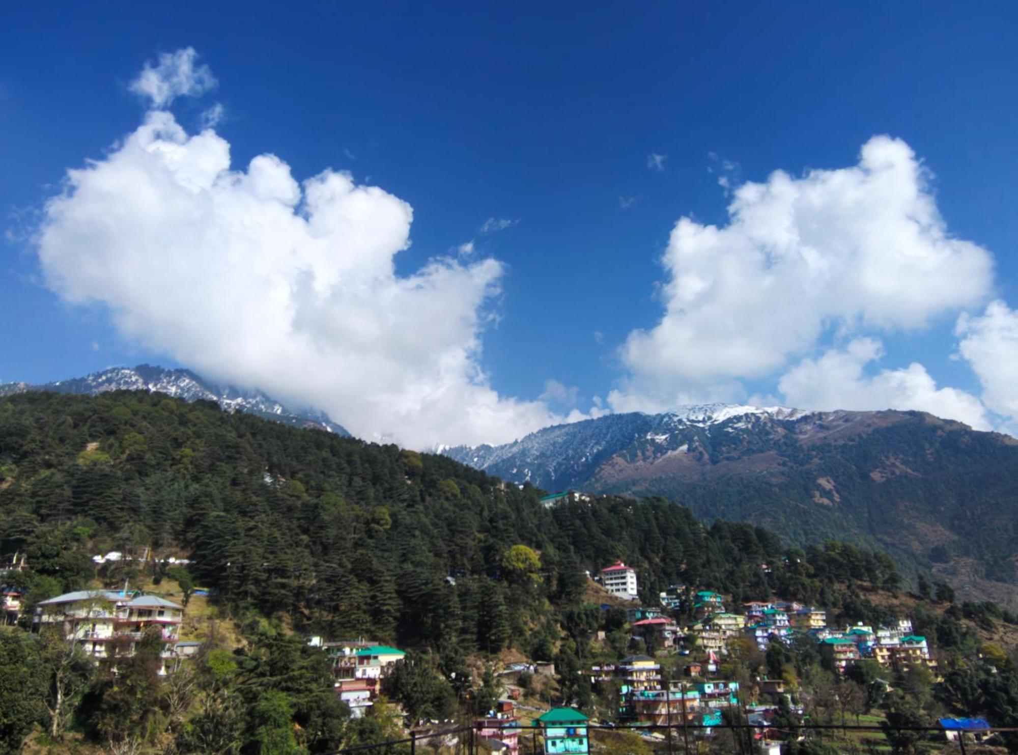 Vista Nest, Mcleodganj Guest house Dharamshala