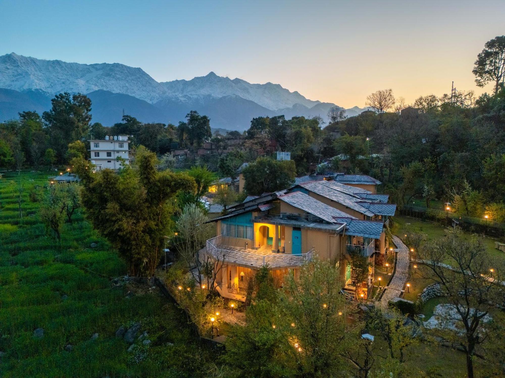 Tree Of Life Birdsong , Dharamshala